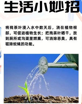 生活小妙招