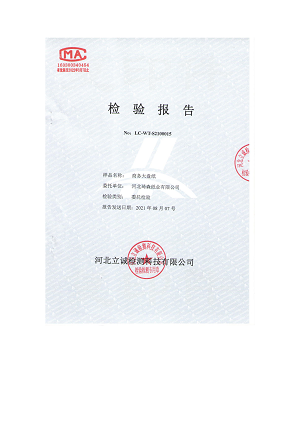 大盘纸检测报告